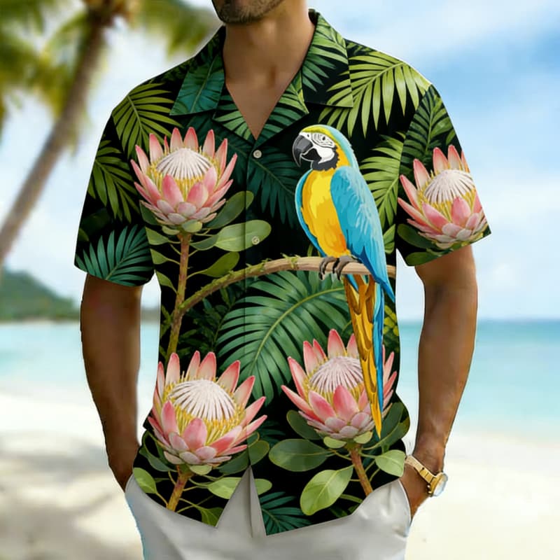 Chemise boutonnée pour homme,  - Outdoor Adventure Vacations avis et prix